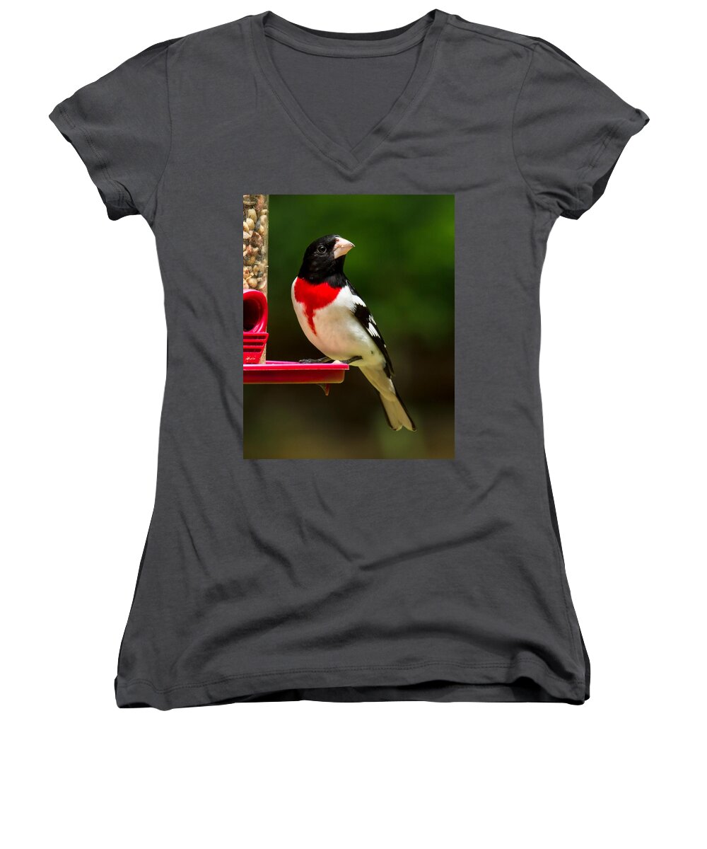Rose Breasted Grosbeak Women's V-Neck featuring the photograph Like my new suit? by Robert L Jackson