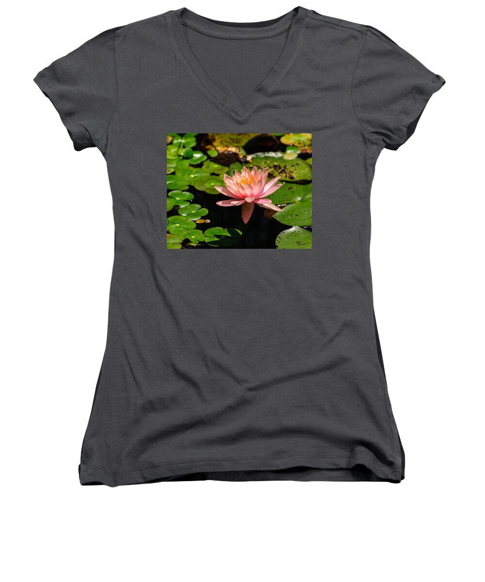 Lily Women's V-Neck featuring the photograph Lily pad by John Johnson