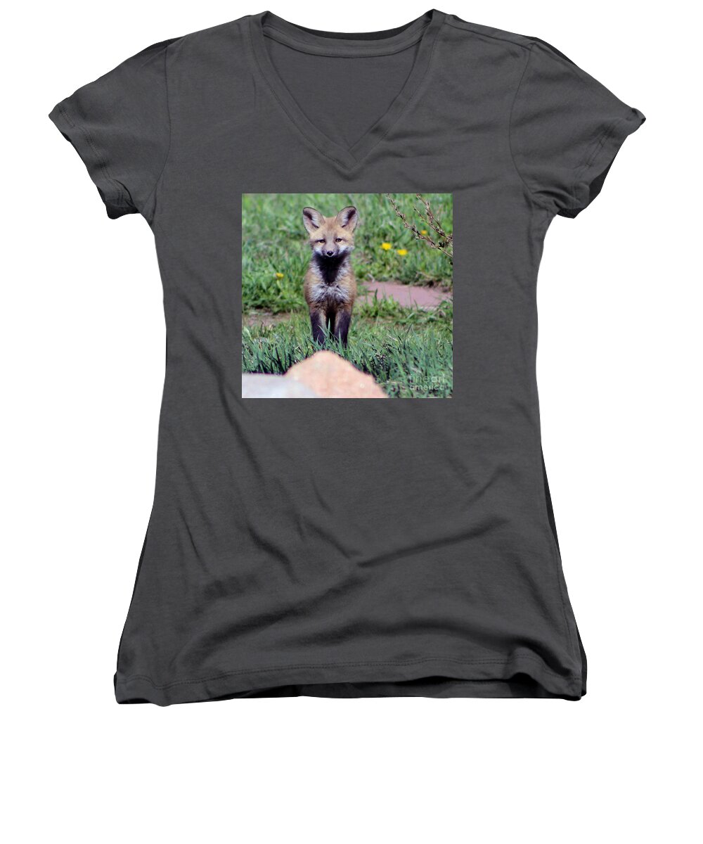Baby Fox Women's V-Neck featuring the photograph Take Me Home by Fiona Kennard