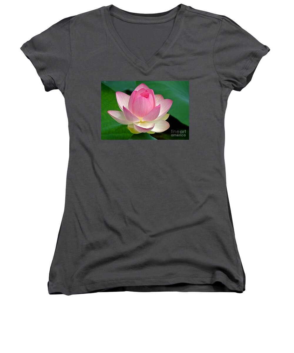 Lotus Women's V-Neck featuring the photograph Lotus 7152010 by Byron Varvarigos
