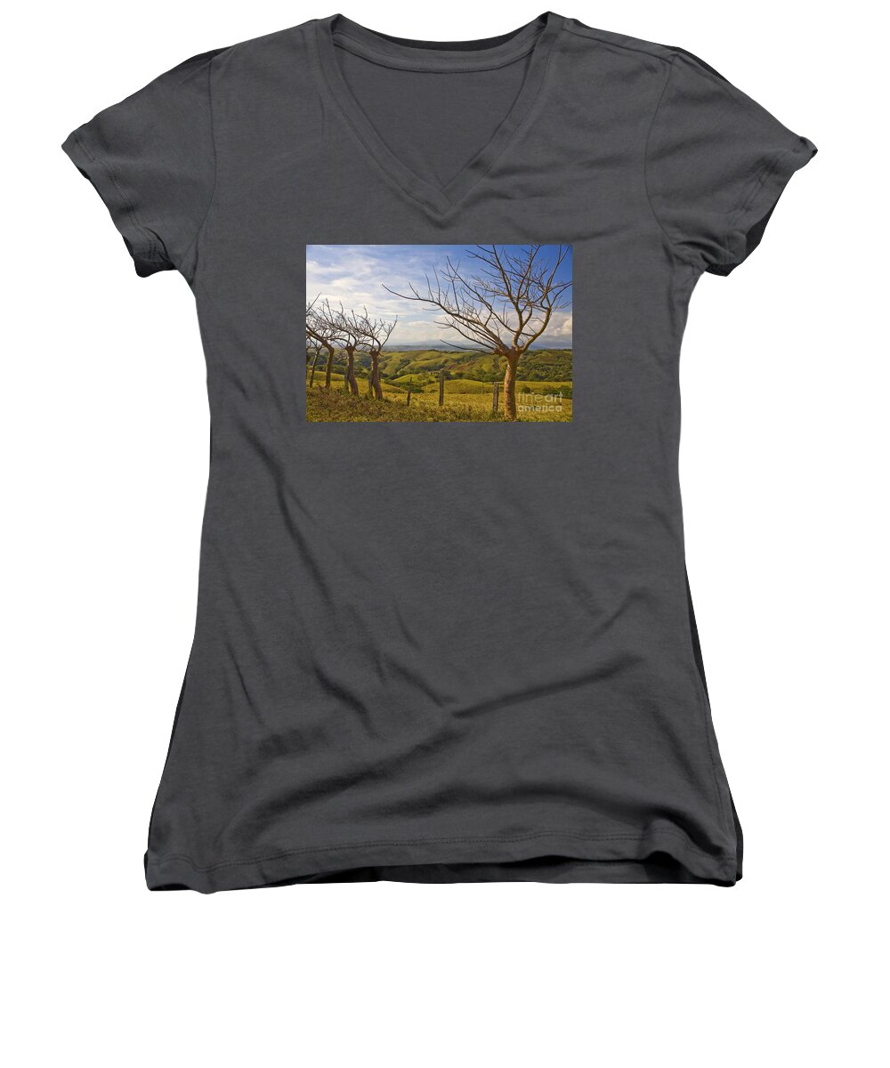 Landscape Women's V-Neck featuring the photograph Lush Land Leafless Trees 2 by Madeline Ellis