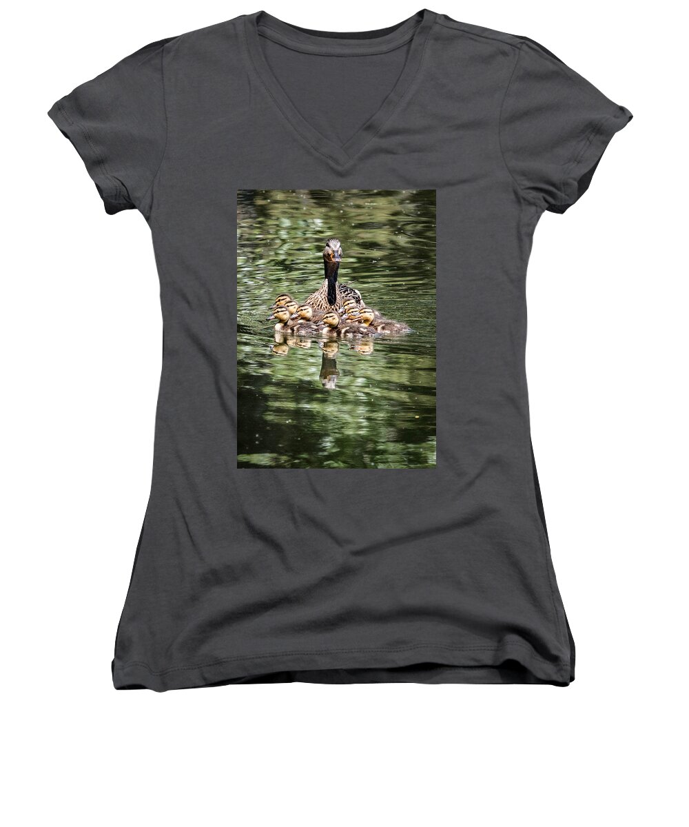 Anas Platyrhynchos Women's V-Neck featuring the photograph Mallard Hen with Ducklings and Reflection by Dawn Key