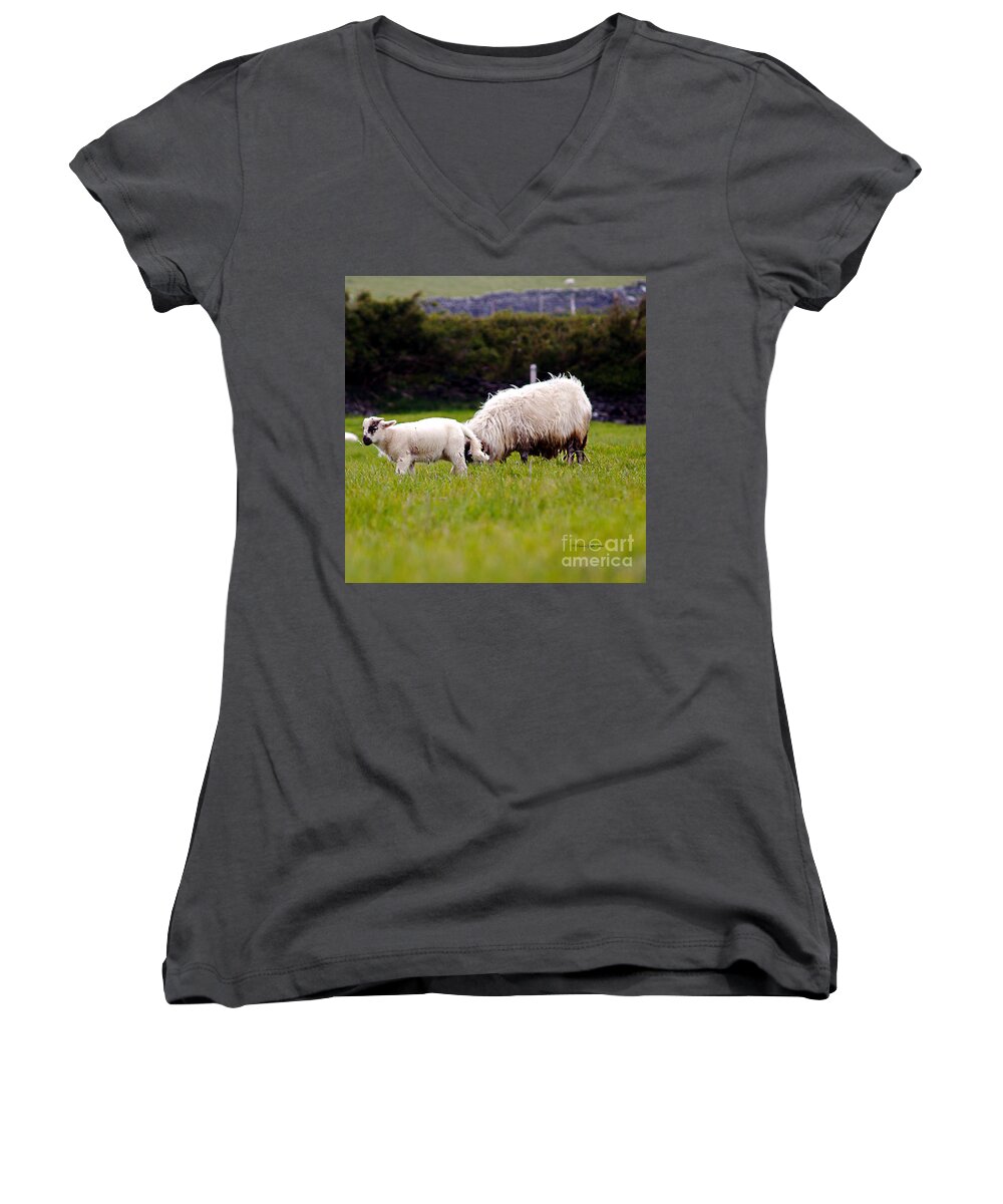 Ireland Photography Women's V-Neck featuring the photograph Mary Had a Little Lamb by Patricia Griffin Brett
