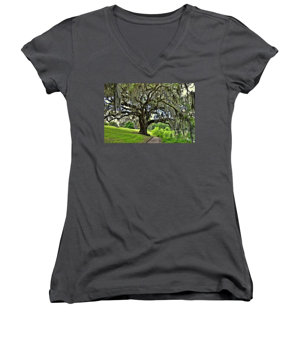 Forest Women's V-Neck featuring the photograph Middleton Place Oak by Allen Beatty