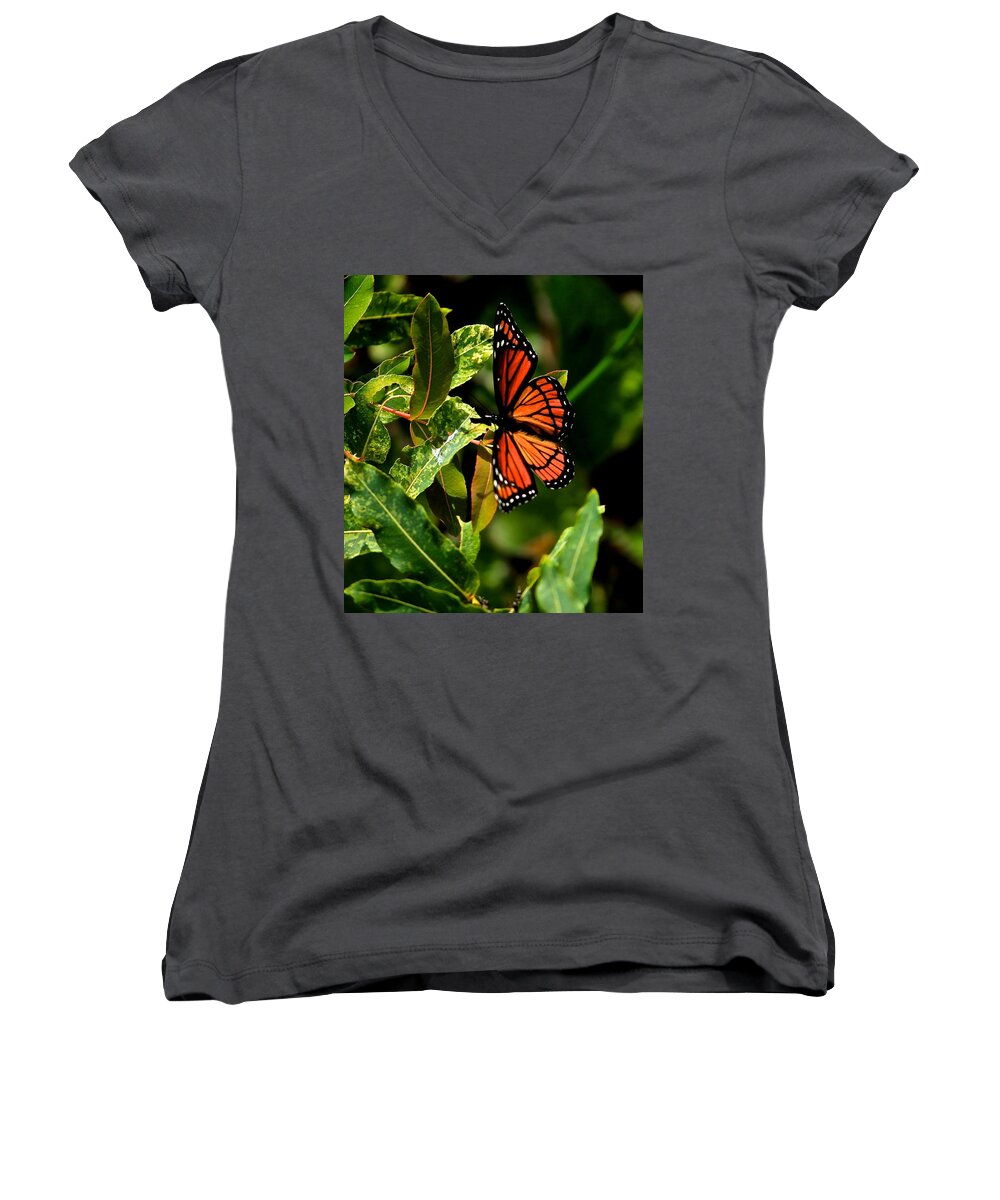Viceroy Butterfly Women's V-Neck featuring the photograph Viceroy Butterfly II by Michael Saunders