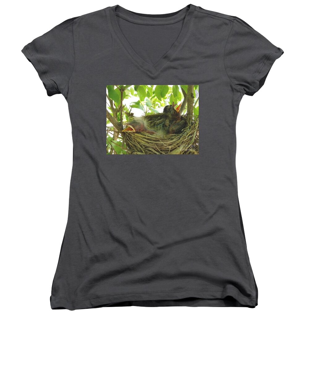 Baby Women's V-Neck featuring the photograph Morning wakeup call by Jennifer E Doll