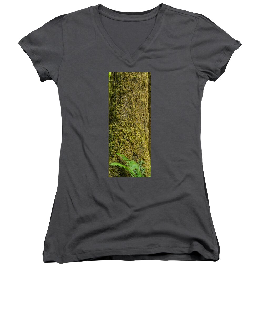 Moss Women's V-Neck featuring the photograph Moss Covered Tree Olympic National Park by Steve Gadomski