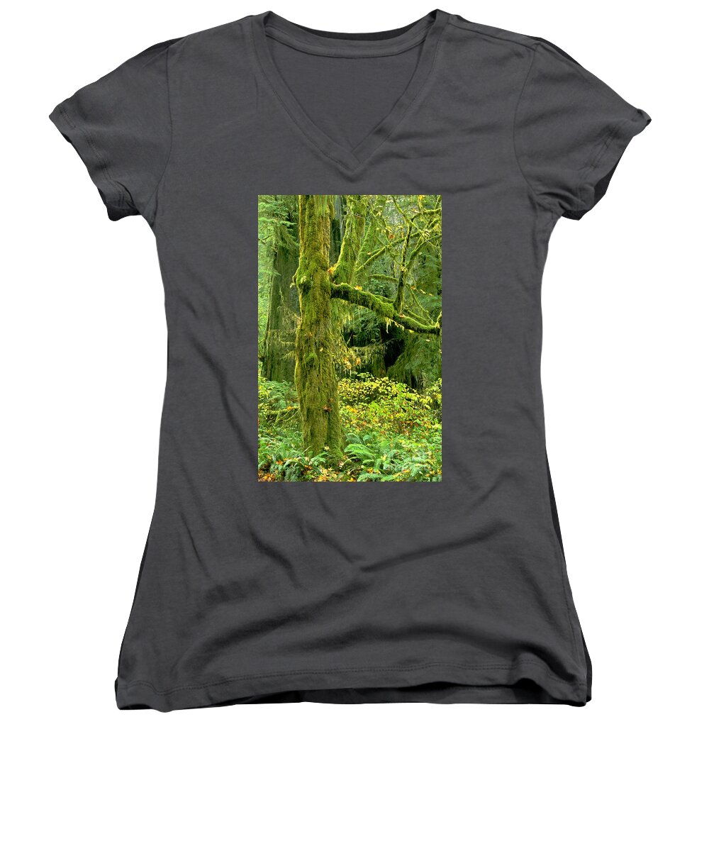 Big Leaf Maple Women's V-Neck featuring the photograph Moss Draped Big Leaf Maple California by Dave Welling