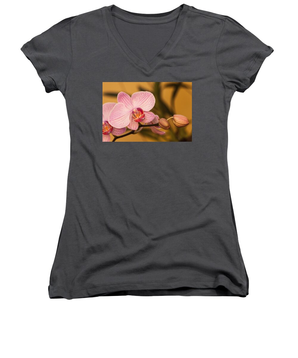 Blossom Women's V-Neck featuring the photograph Moth Orchid by Ed Gleichman
