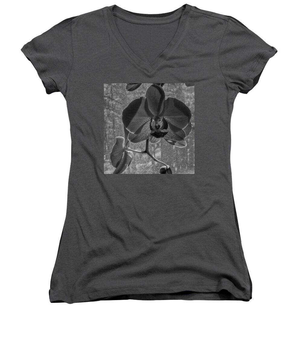 Flower Women's V-Neck featuring the photograph Moth Orchid in Window by Ron White