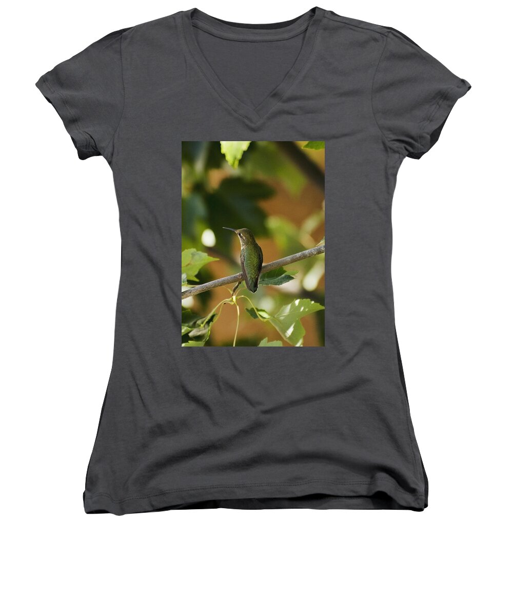 Bird Women's V-Neck featuring the photograph My green colored hummingbird 4 by Teri Schuster