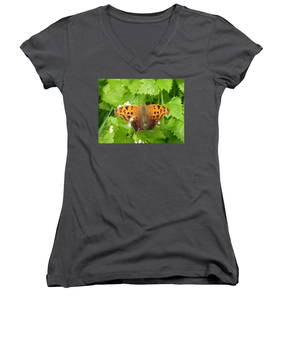 Question Mark Butterfly Women's V-Neck featuring the photograph Mystery Lady by Lingfai Leung