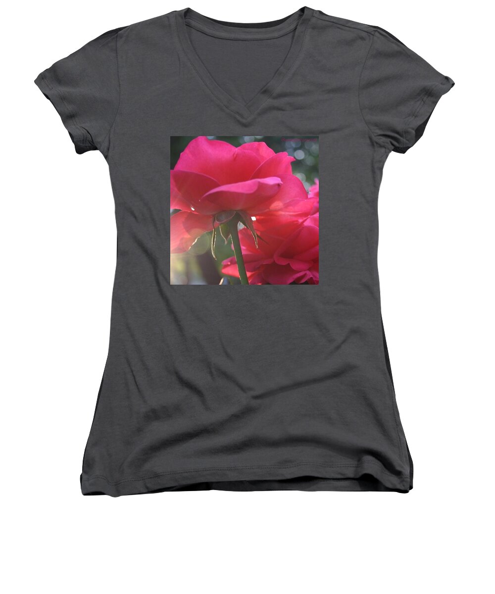 Floral Women's V-Neck featuring the photograph Natural Beauty LadyBird Red Rose by Anna Porter