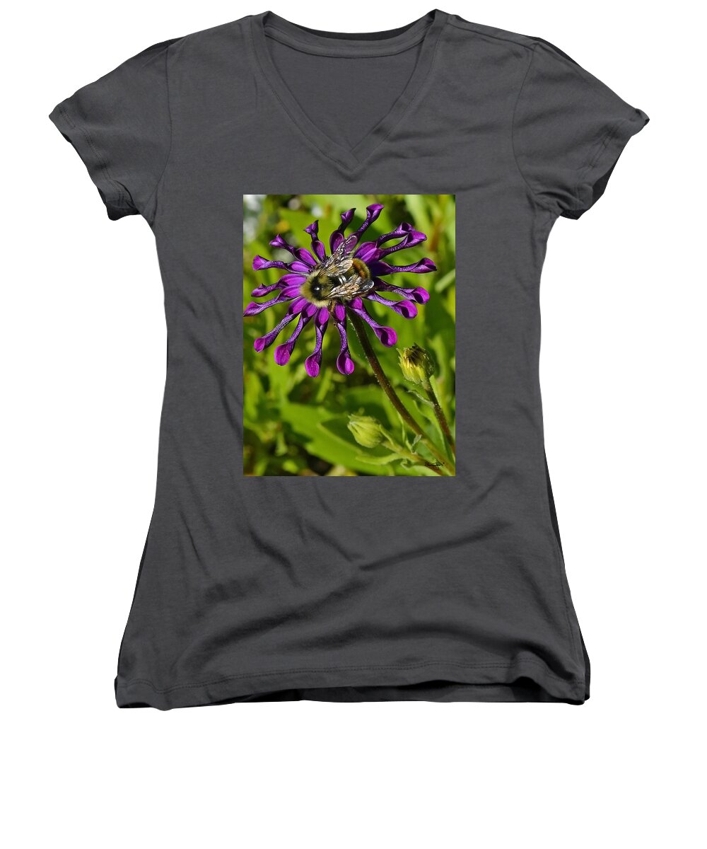Purple Women's V-Neck featuring the photograph Nature At Work by Shanna Hyatt