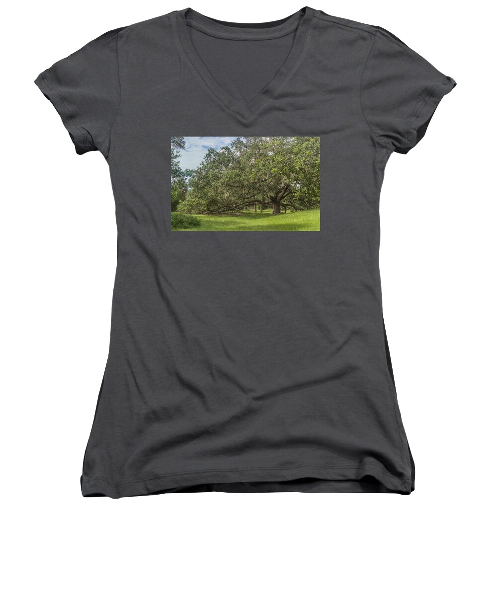 Florida Women's V-Neck featuring the photograph Old oak tree by Jane Luxton