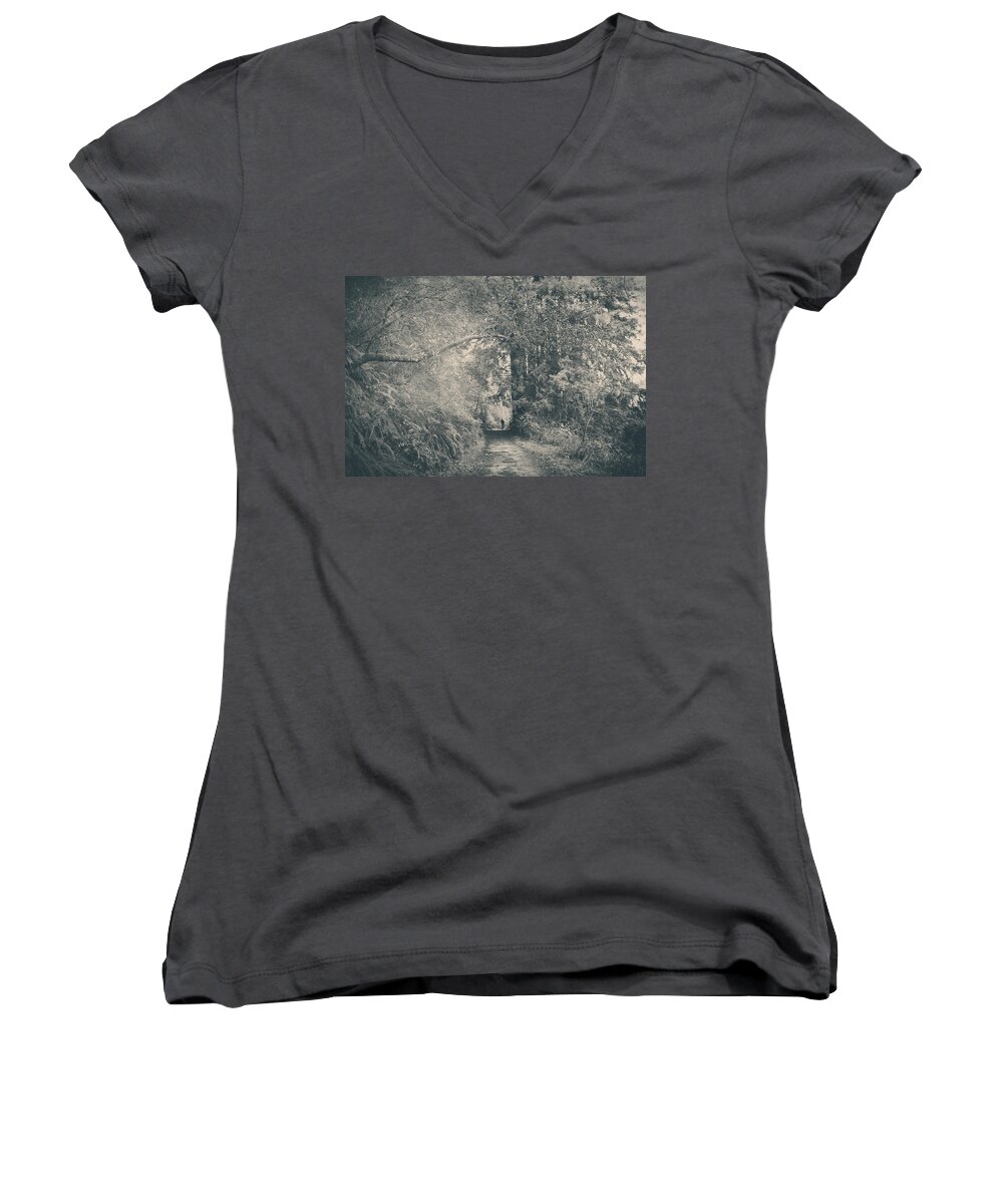 Redwood Regional Park Women's V-Neck featuring the photograph Only Peace by Laurie Search