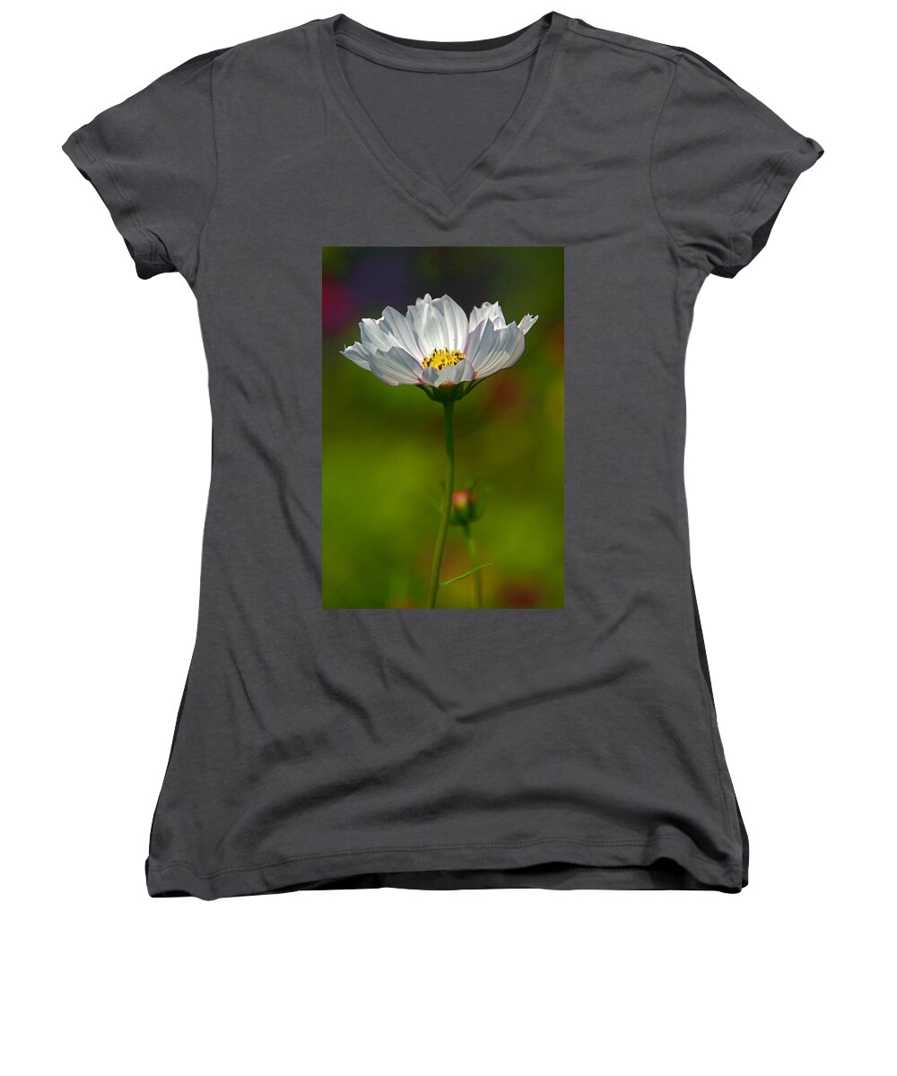 White Cosmos Flower With Bokeh Women's V-Neck featuring the photograph Open for All by Byron Varvarigos