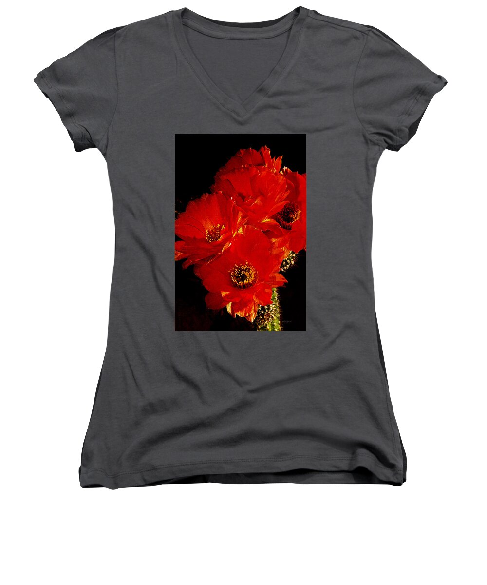 Flowers Women's V-Neck featuring the photograph Orange Cactus Flowers Digital Painting by Phyllis Denton