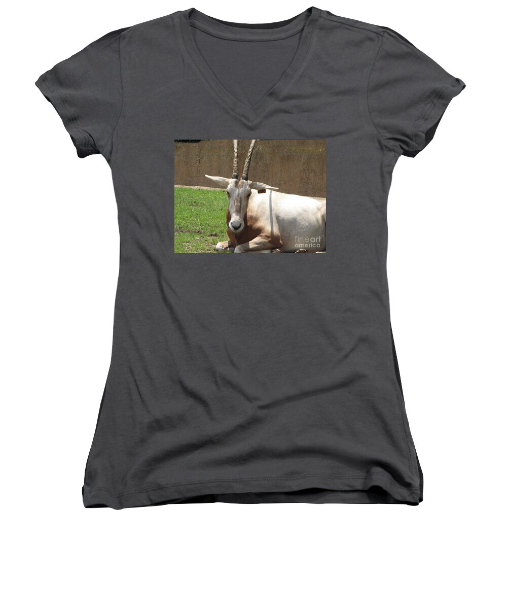 Oryx Women's V-Neck featuring the photograph Oryx by DejaVu Designs