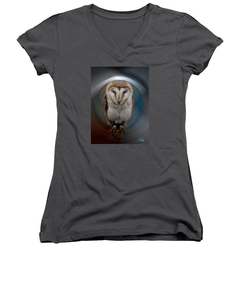 Colette Women's V-Neck featuring the photograph Owl Alba Spain by Colette V Hera Guggenheim