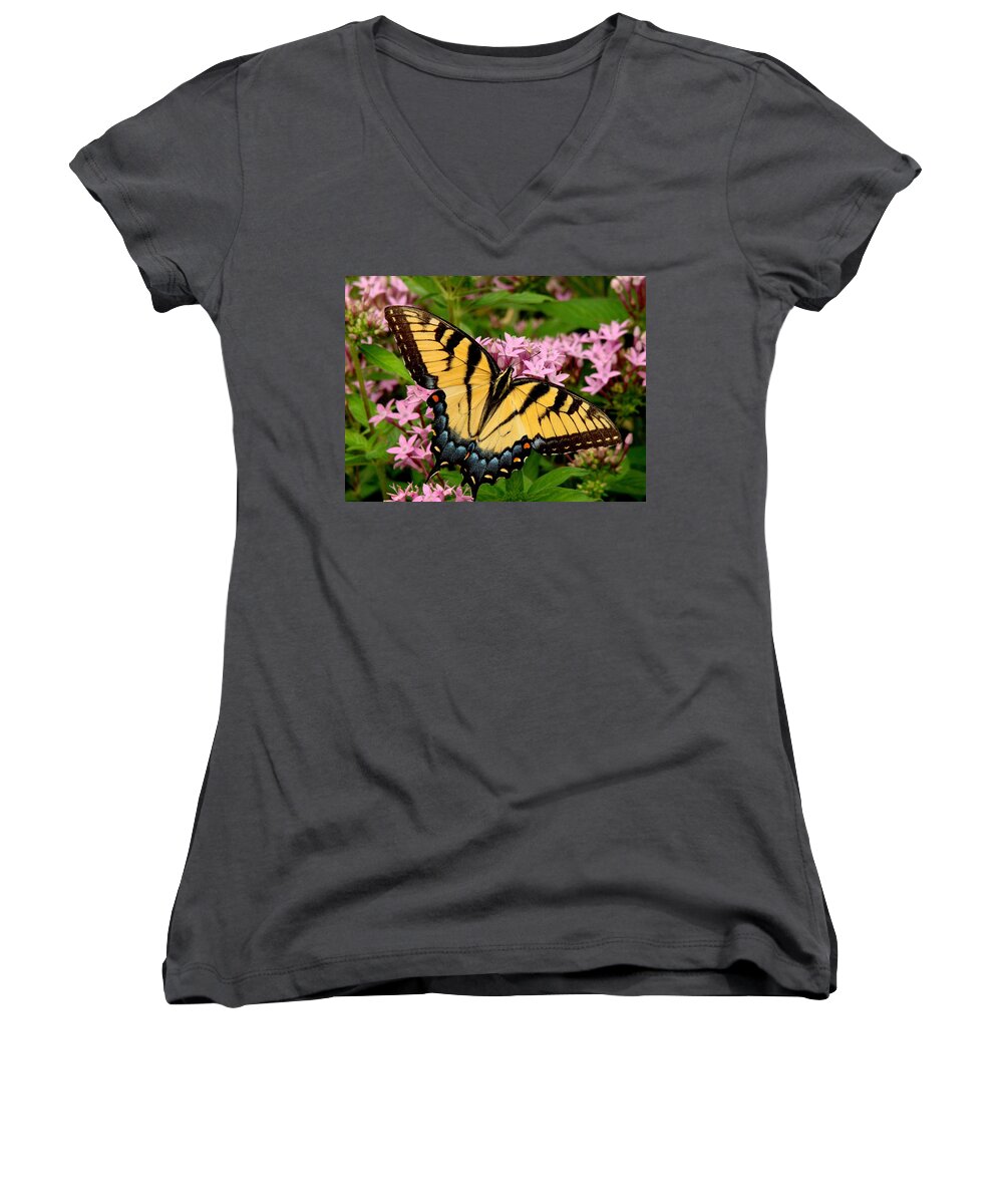 Fine Art Women's V-Neck featuring the photograph Painted Wings by Rodney Lee Williams