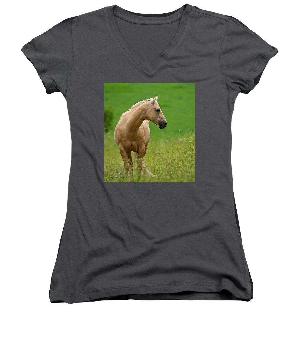 Pale Brown Horse Women's V-Neck featuring the photograph Pale Brown Horse by Torbjorn Swenelius