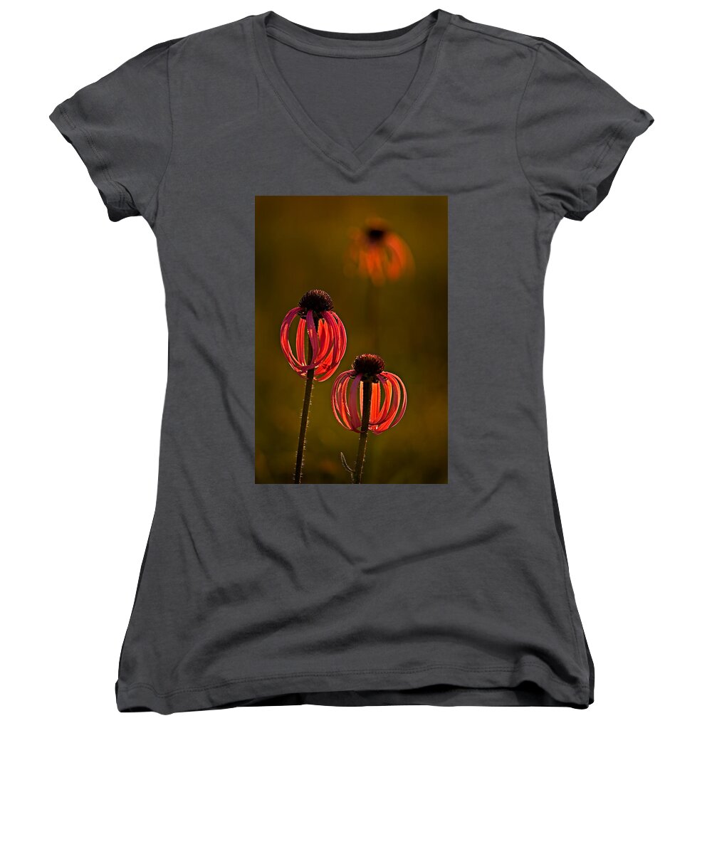 2011 Women's V-Neck featuring the photograph Pale Purple Cone Flowers by Robert Charity