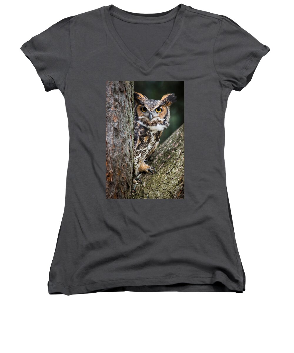 Great Horned Owl Women's V-Neck featuring the photograph Peering Out by Dale Kincaid