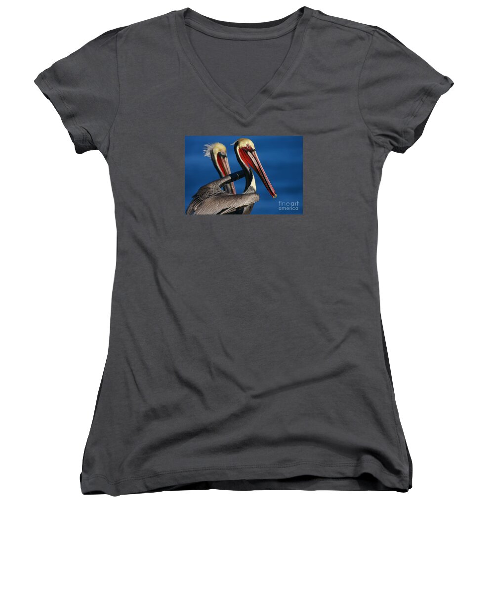 Landscapes Women's V-Neck featuring the photograph La Jolla Pelicans In Waves by John F Tsumas