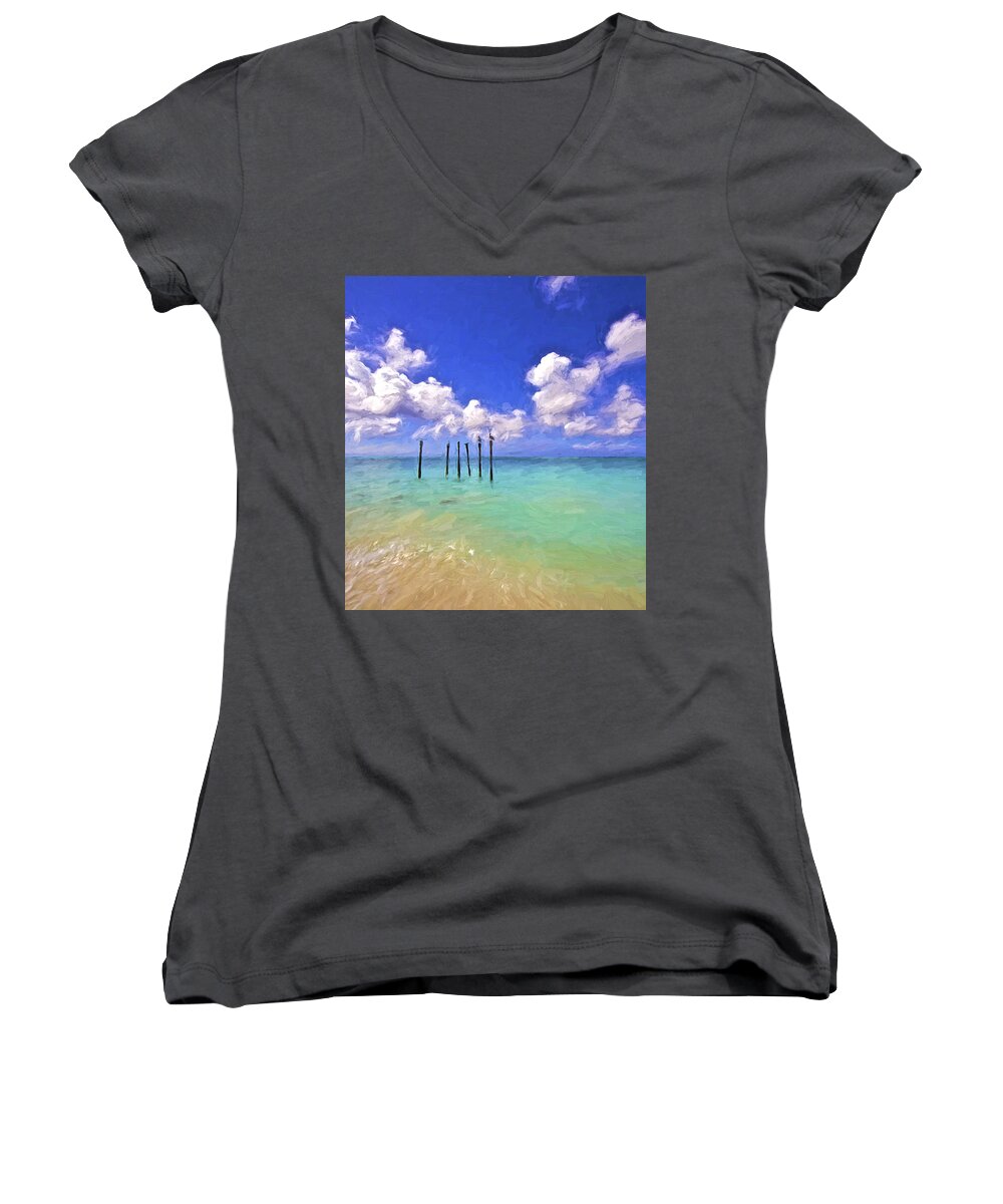 Aruba Women's V-Neck featuring the painting Pelicans of Aruba by David Letts