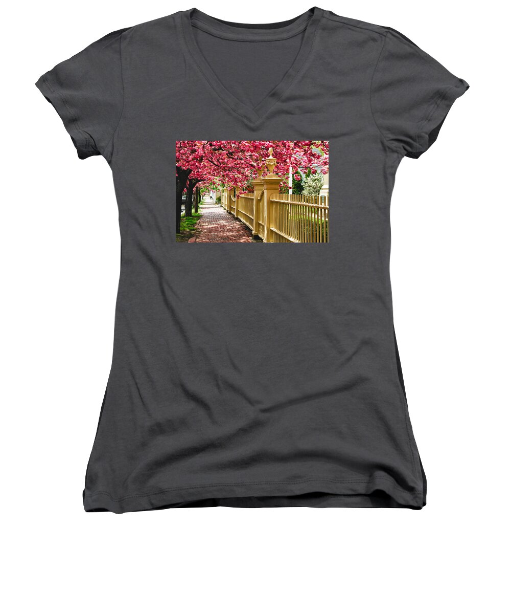 Salem Women's V-Neck featuring the photograph Perfect time for a spring walk by Jeff Folger