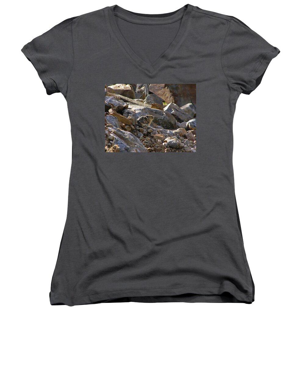 Nature Women's V-Neck featuring the photograph Pika by Rhonda McDougall