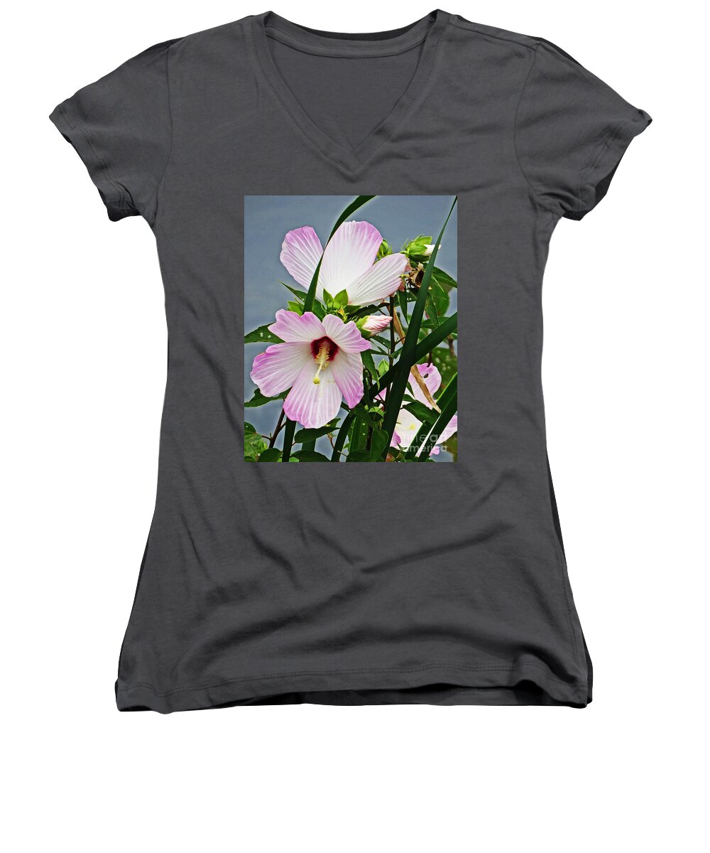Ibiscus Syriacus Women's V-Neck featuring the photograph Pink Flowers by Dawn Gari