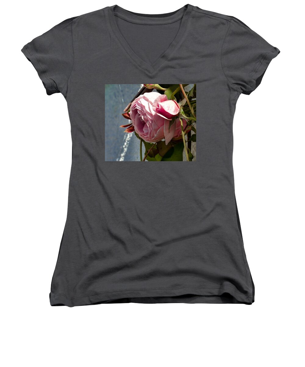 Flower Women's V-Neck featuring the photograph Pink Rose In Half Profile.2014 by Leif Sohlman