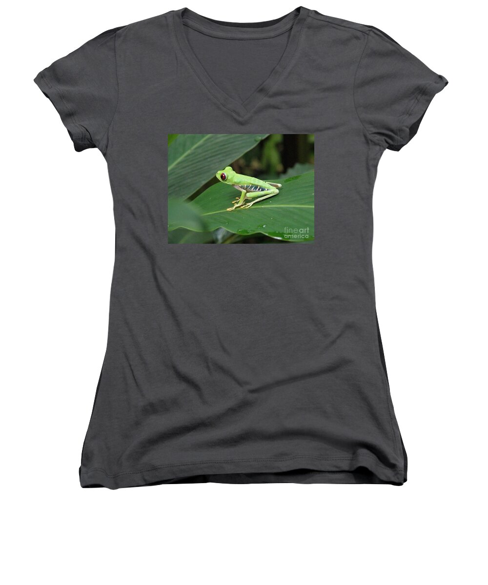 Frog Women's V-Neck featuring the photograph Poison Dart Frog by DejaVu Designs
