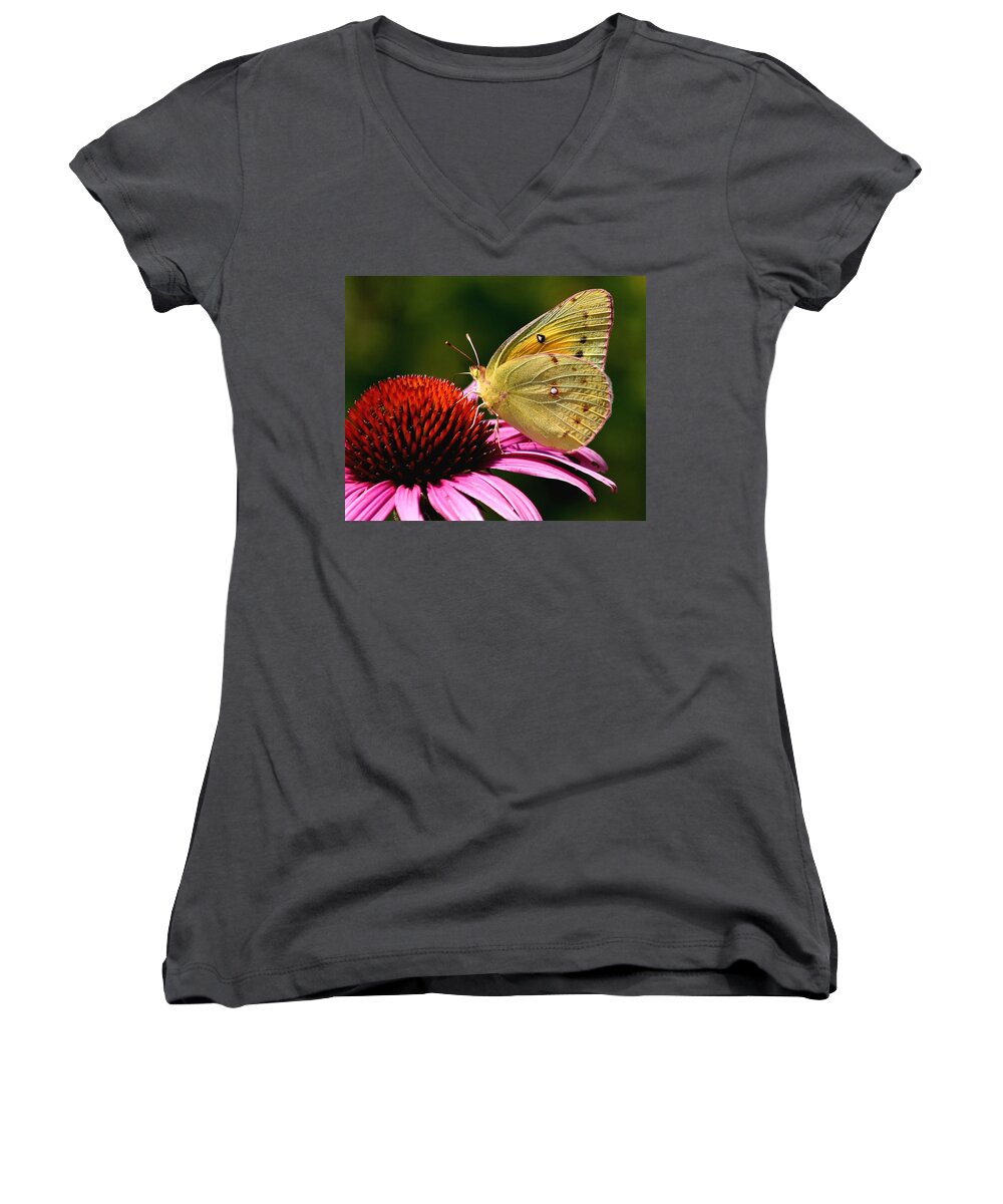 Flower Women's V-Neck featuring the photograph Pretty as a Butterfly by Roger Becker
