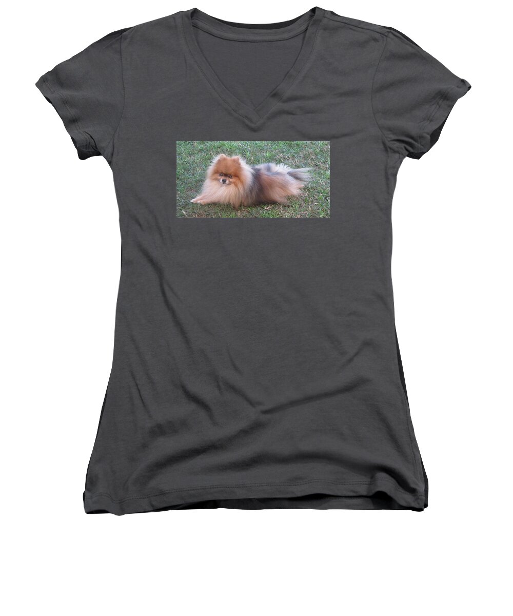 Dog Women's V-Neck featuring the photograph Pretty Pom by Fortunate Findings Shirley Dickerson