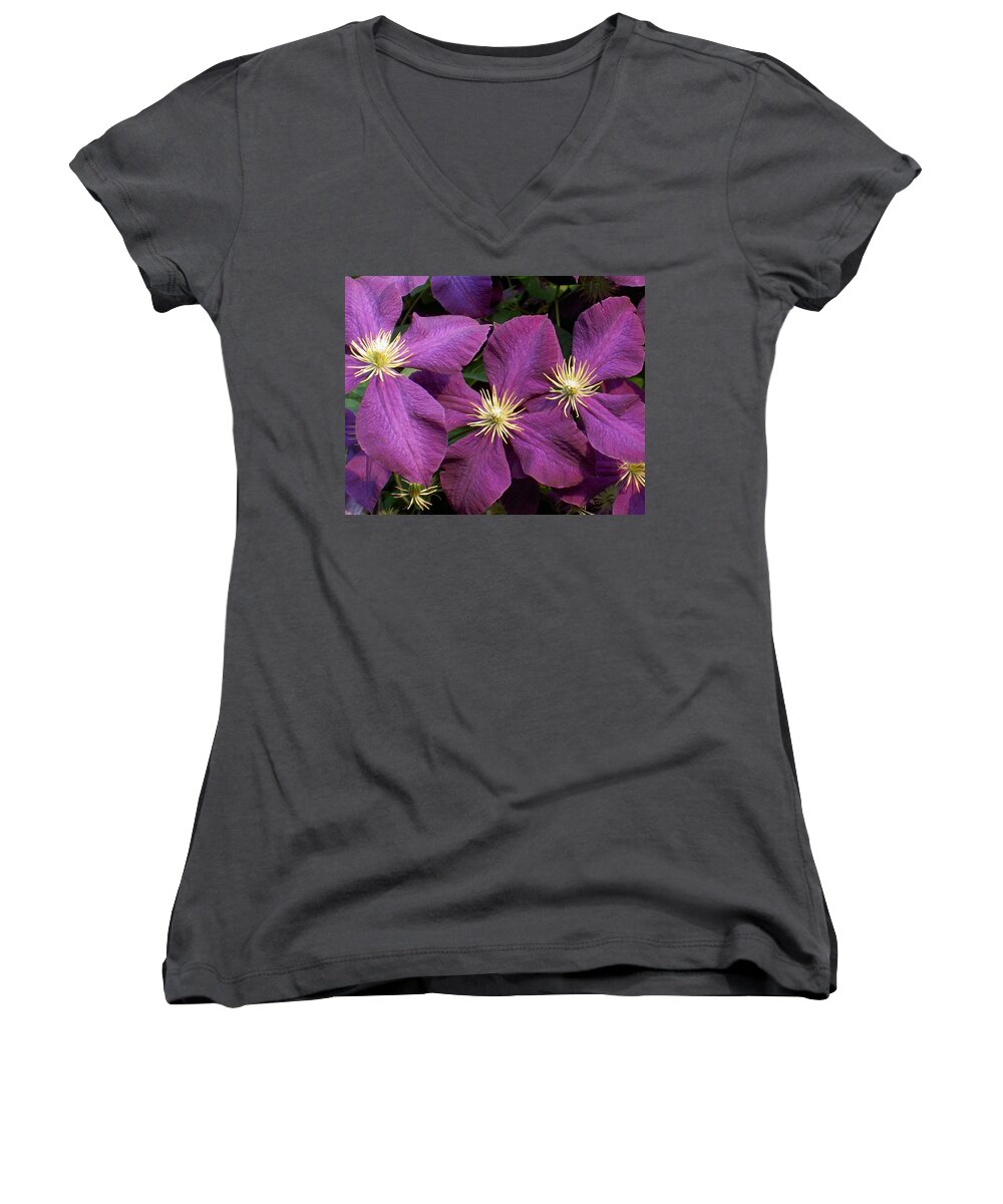Purple Women's V-Neck featuring the photograph Purple Clematis by Carolyn Jacob