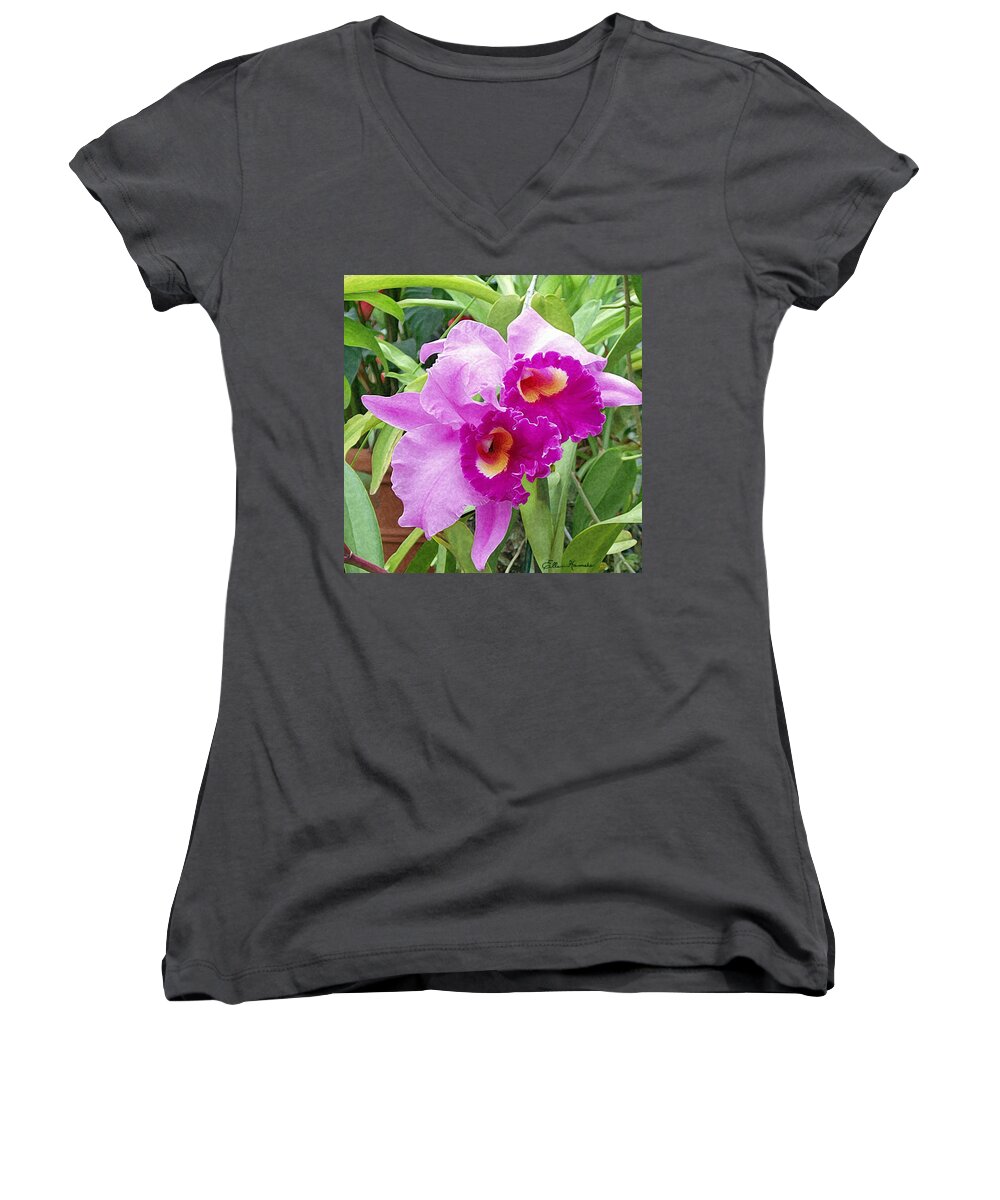 Purple Cattleya Orchids Women's V-Neck featuring the painting Purple Cattleya Orchids by Ellen Henneke