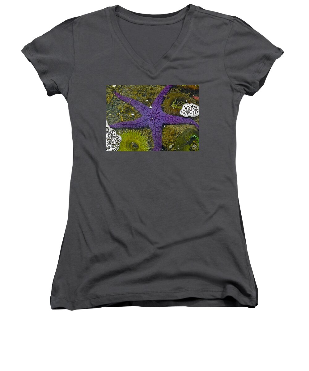 I Visited The Oregon Coast Aquarium And Photographed This. Later Women's V-Neck featuring the digital art Purple Sea Star and Friends by Gary Olsen-Hasek