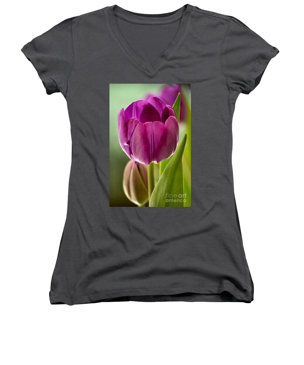 Purple Tulip Women's V-Neck featuring the photograph Purple Splendor by Deb Halloran