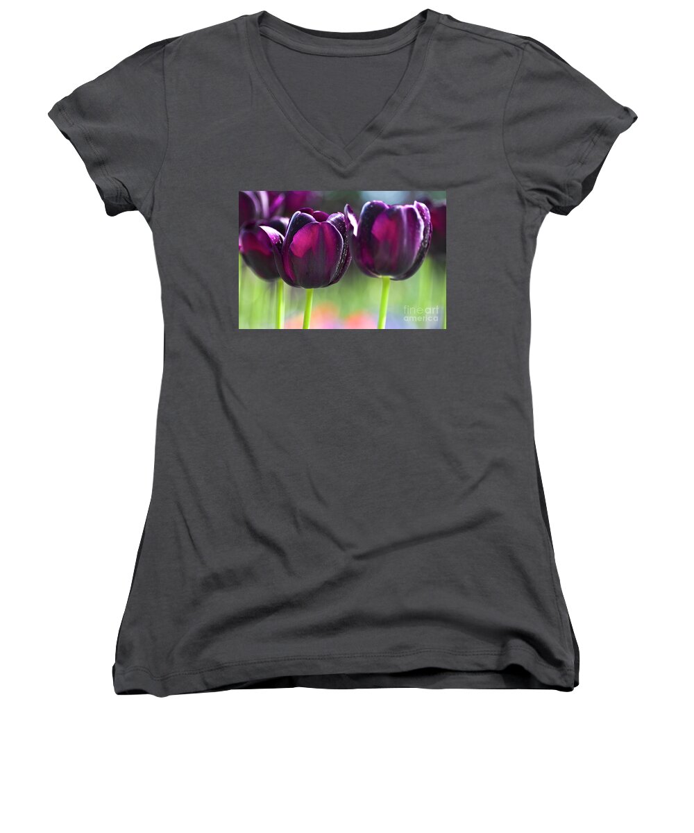 Tulip Women's V-Neck featuring the photograph Purple tulips by Heiko Koehrer-Wagner