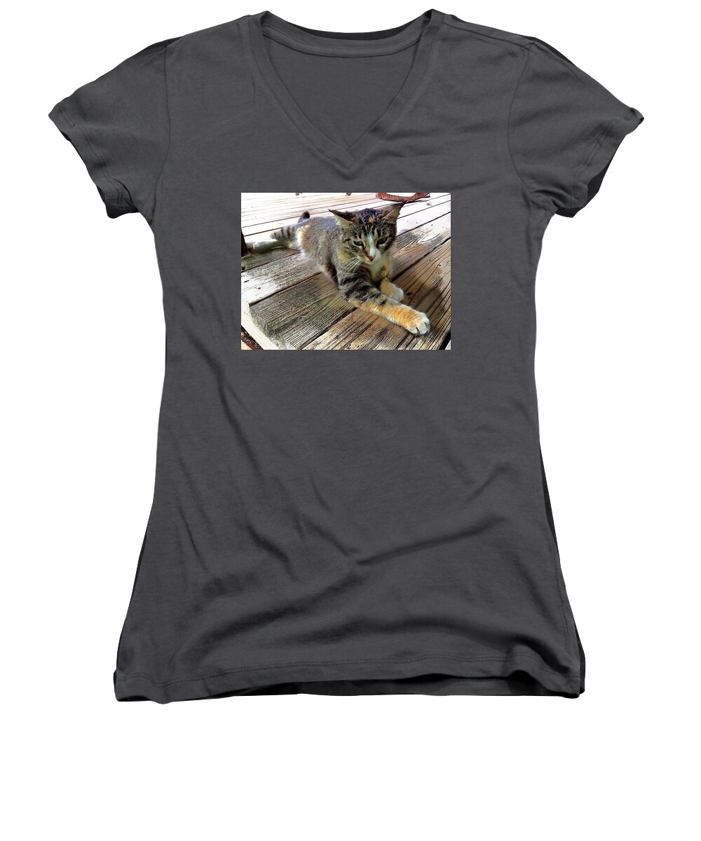 Calico Cat Women's V-Neck featuring the photograph Queenie by John Duplantis