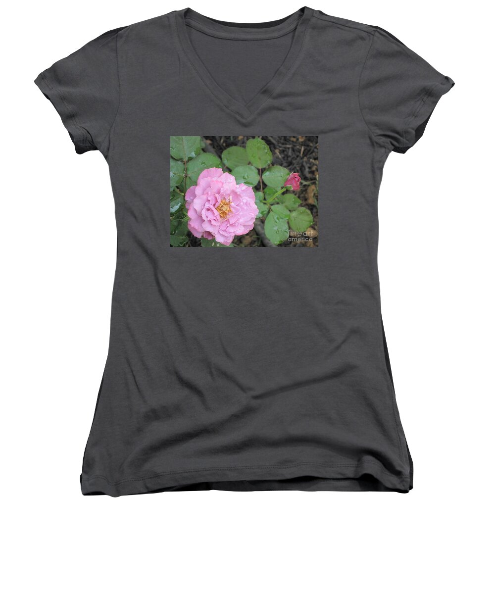 Rose Women's V-Neck featuring the photograph Rain Kissed Rose by HEVi FineArt