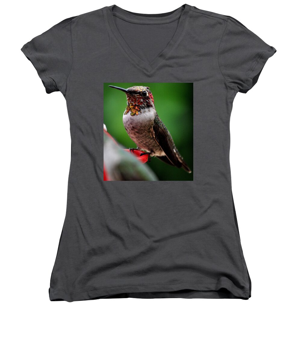 Hummingbird Women's V-Neck featuring the photograph Rainbow Colored Male Anna by Jay Milo