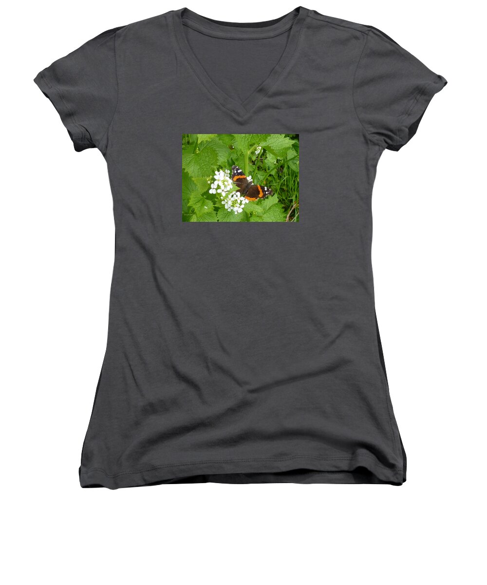 Insect Women's V-Neck featuring the photograph Red Admiral Butterfly by Lingfai Leung