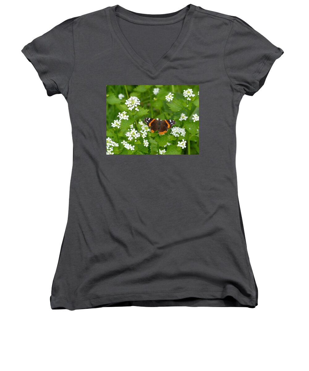 Insect Women's V-Neck featuring the photograph Red Admirals by Lingfai Leung