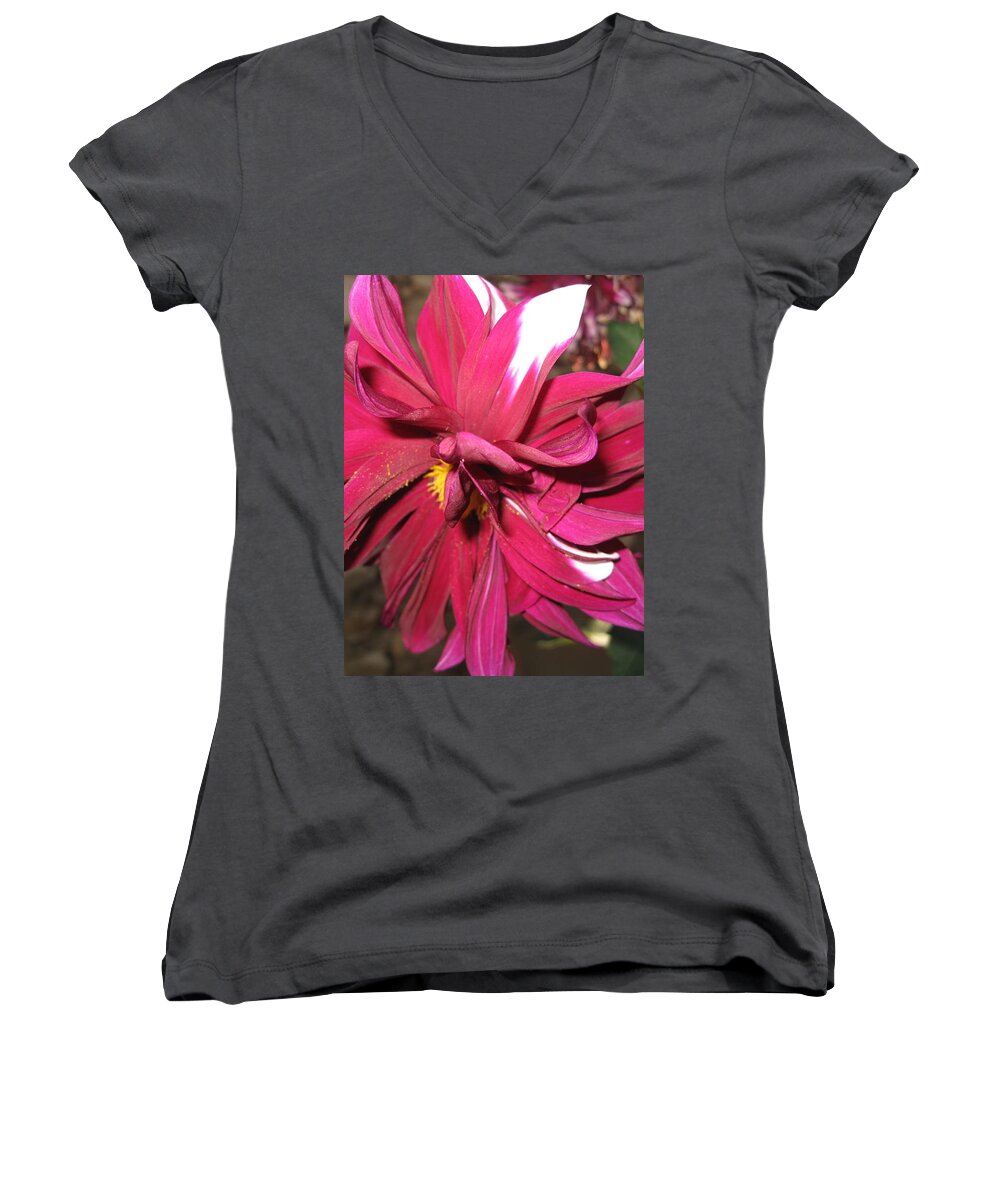Red Flower Women's V-Neck featuring the photograph Red Flower in Bloom by HEVi FineArt
