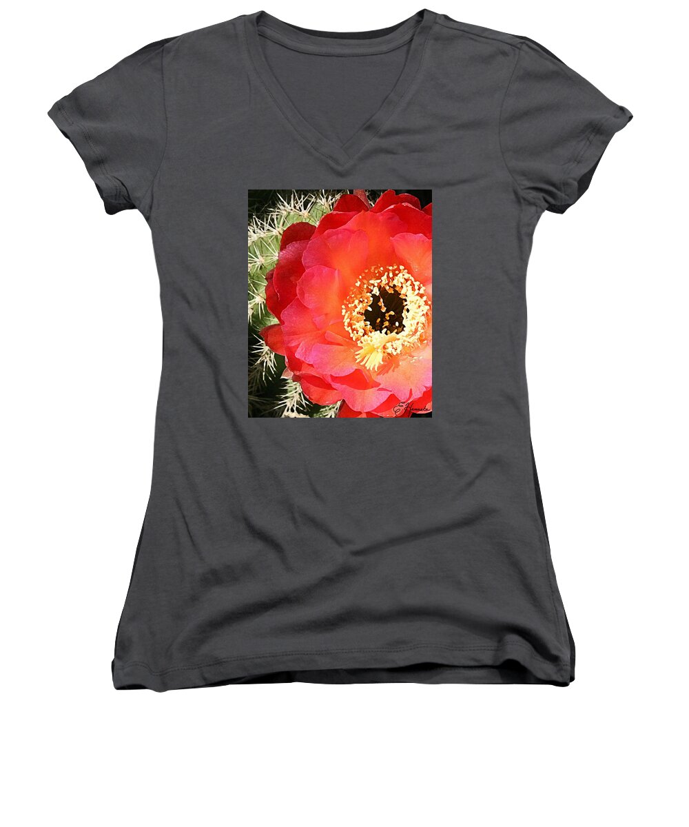 Prickly Pear Blossom Women's V-Neck featuring the painting Red Prickly Pear Blossom by Ellen Henneke