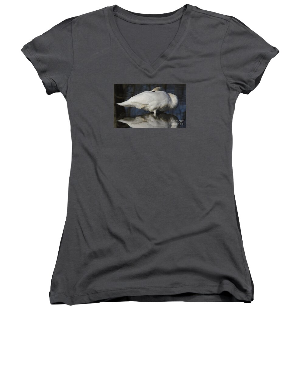 Swan Women's V-Neck featuring the photograph Reflect by Randy Bodkins
